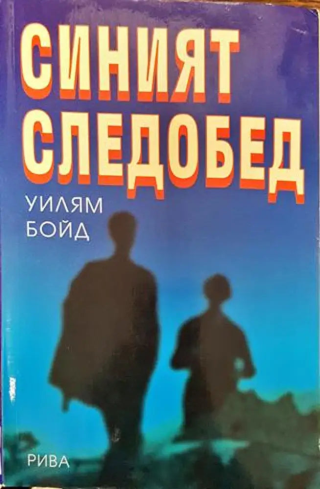 Синият следобед - Книга