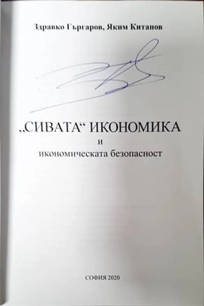 Сивата икономика и икономическата безопасност - Книги
