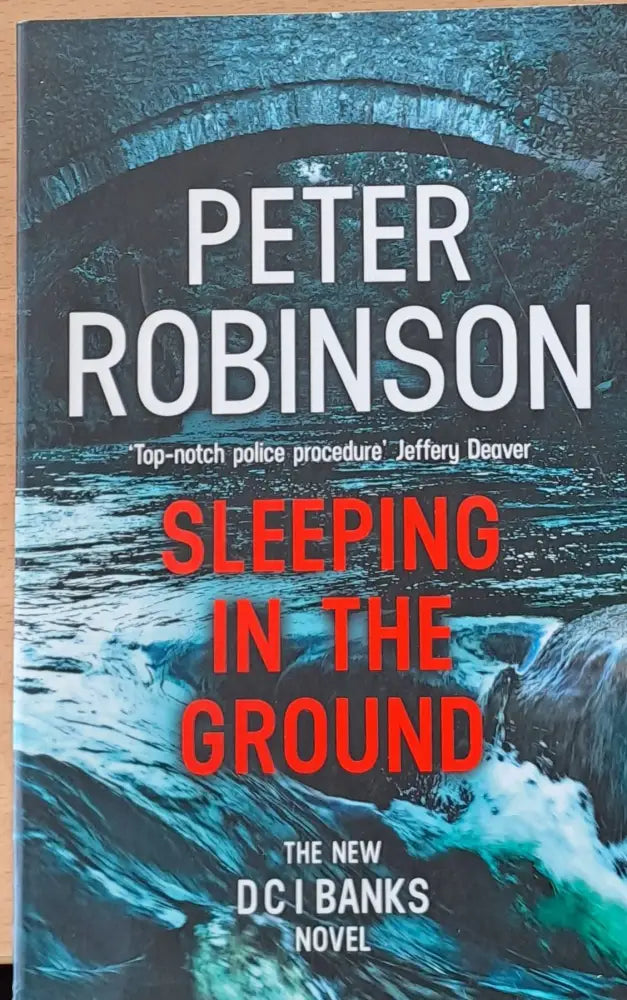 Sleeping in the ground - Книги