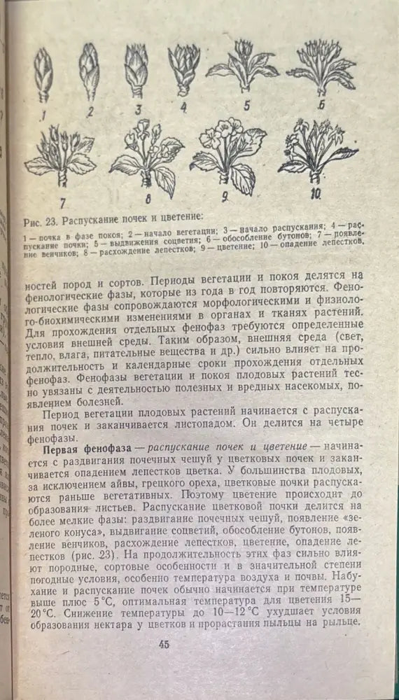 Советы по ведению приусадебного хозяйства - Книги