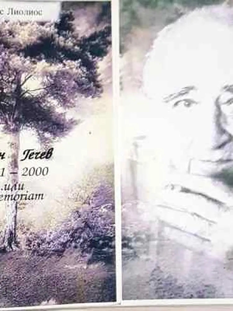 Стефан Гечев 1911-2000... или in memoriam - Книга