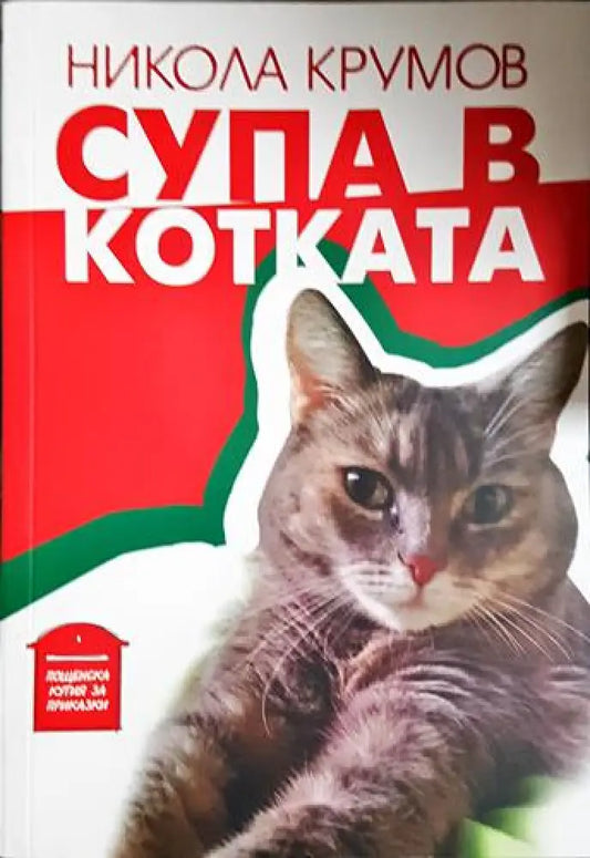 Супа в котката - Книга