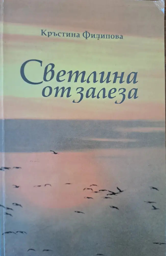 Светлина от залеза - Книги