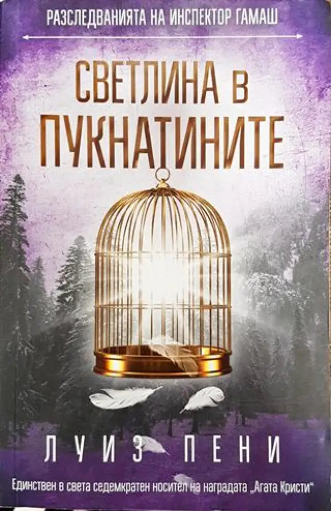 Светлина в пукнатините - Книга