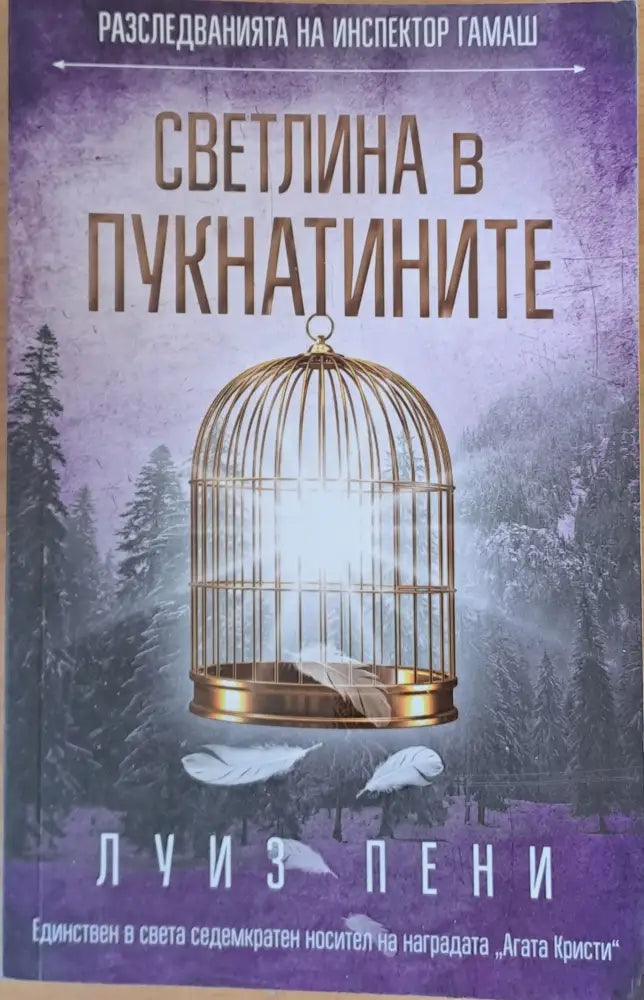 Светлина в пукнатините - Книги