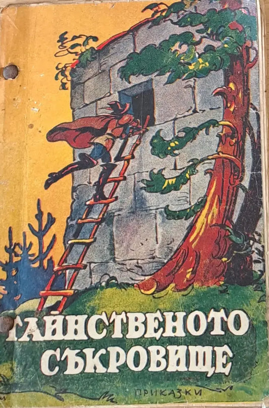 Тайнственото съкровище - Книги