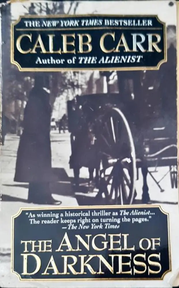 The angel of darkness - Книги