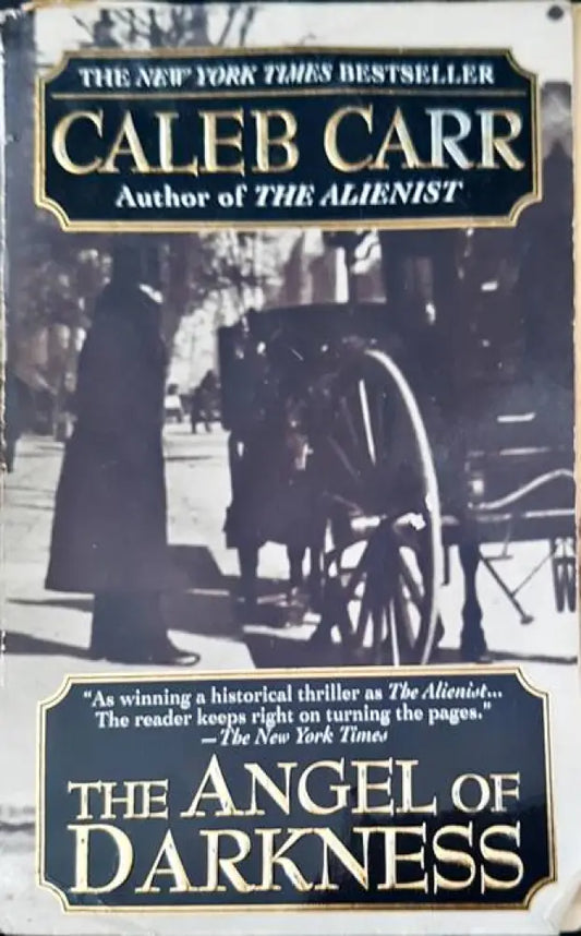 The angel of darkness - Книги