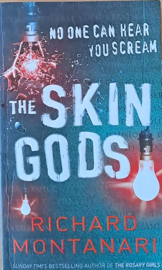 The Skin Gods - Книги