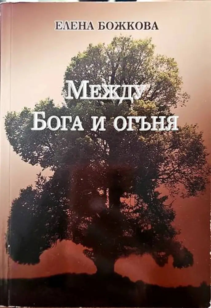 Тревожност (1513) - Книга