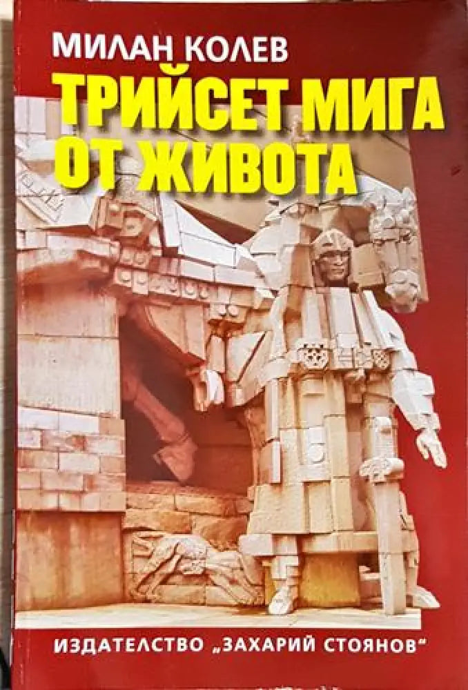 Трийсет мига от живота (2506) - Книга