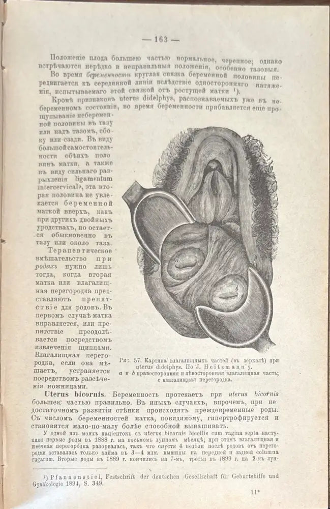 Учебникаъ акушерсва (487) - Книга
