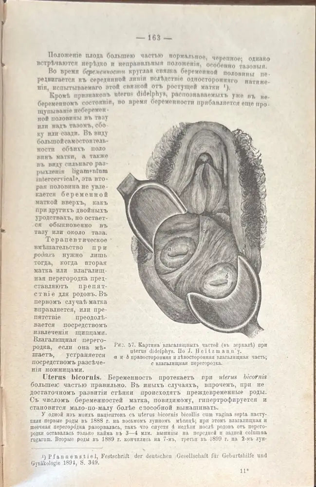 Учебникаъ акушерсва - Книги