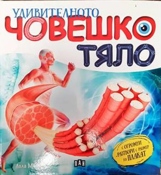 Удивителното човешко тяло - Книги