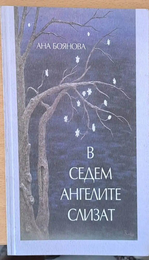 В седем ангелите слизат - Книги
