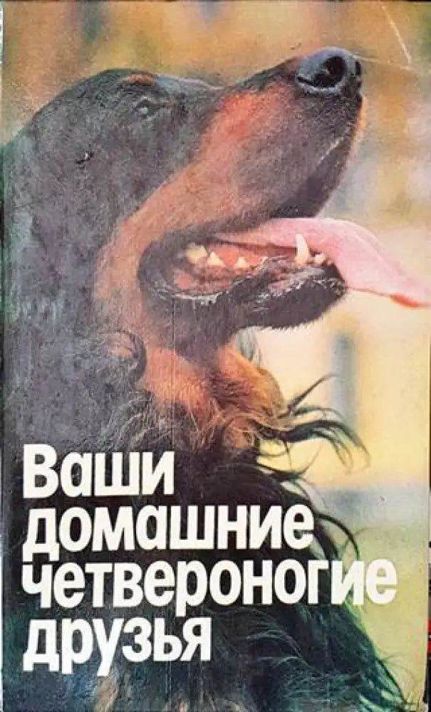 Ваши домашние четвероногие друзья - Книги