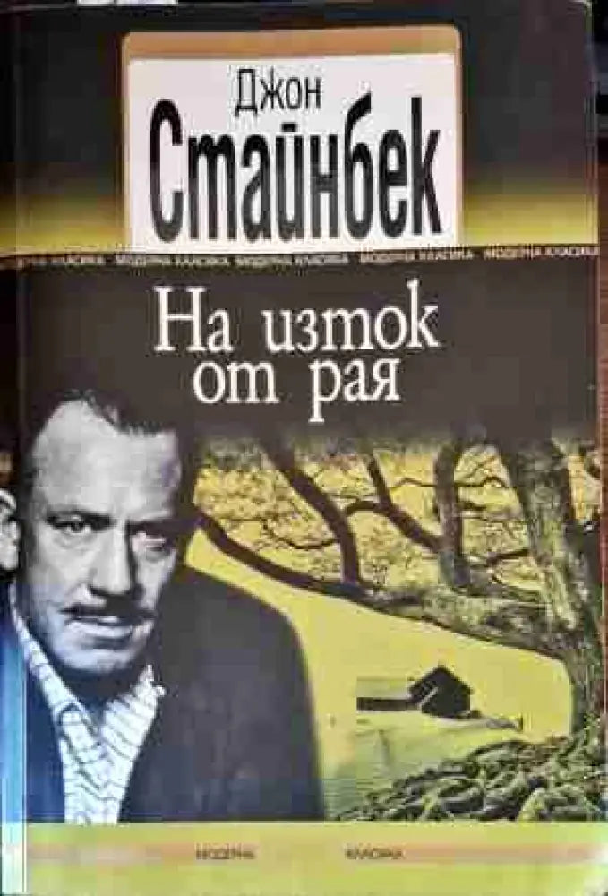 Веруюто на писателя: Живот занаят изкуство - Книги