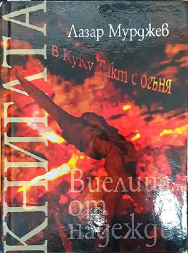 Виелица от надежди - Книги