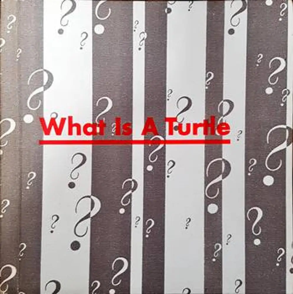 What is a turtle - Книги