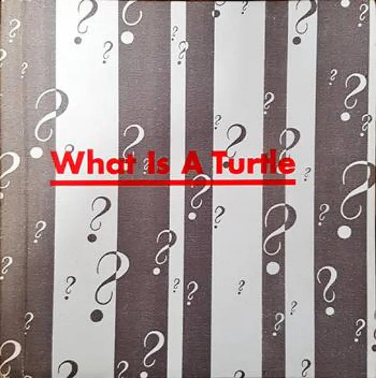 What is a turtle - Книги